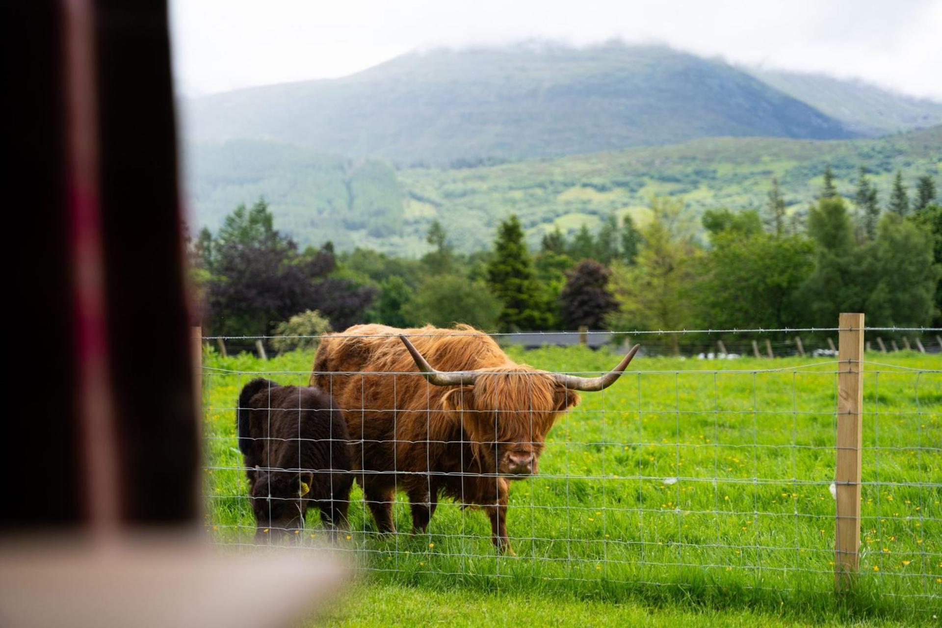 Holiday home Aonach Mor Pod *